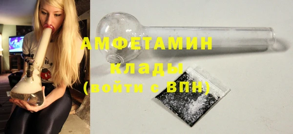 молекула духа Арсеньев