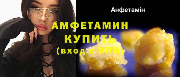 молекула духа Арсеньев