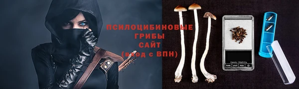 тгк Армянск