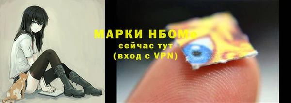 молекула духа Арсеньев