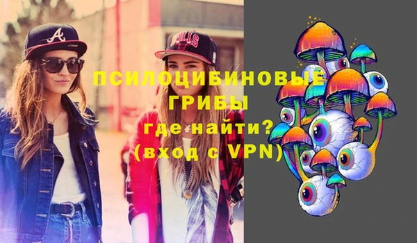 молекула духа Арсеньев