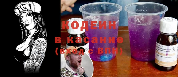 молекула духа Арсеньев