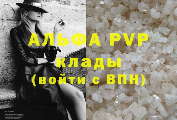 молекула духа Арсеньев