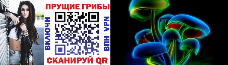 цены наркотик  Суоярви  маркетплейс наркотические препараты  Галлюциногенные грибы Psilocybine cubensis 